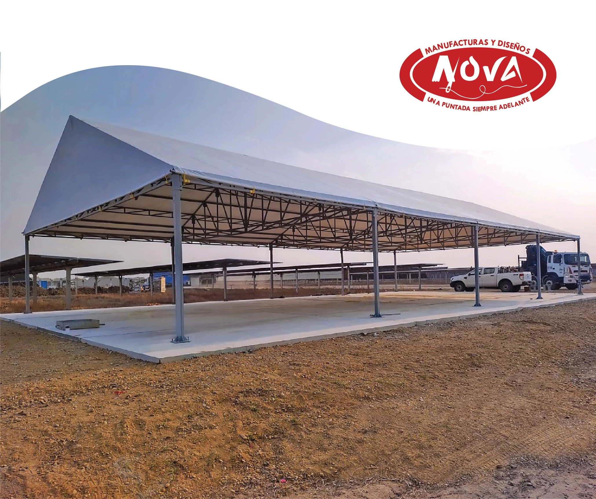 CARPA-GRAN-FORMATO